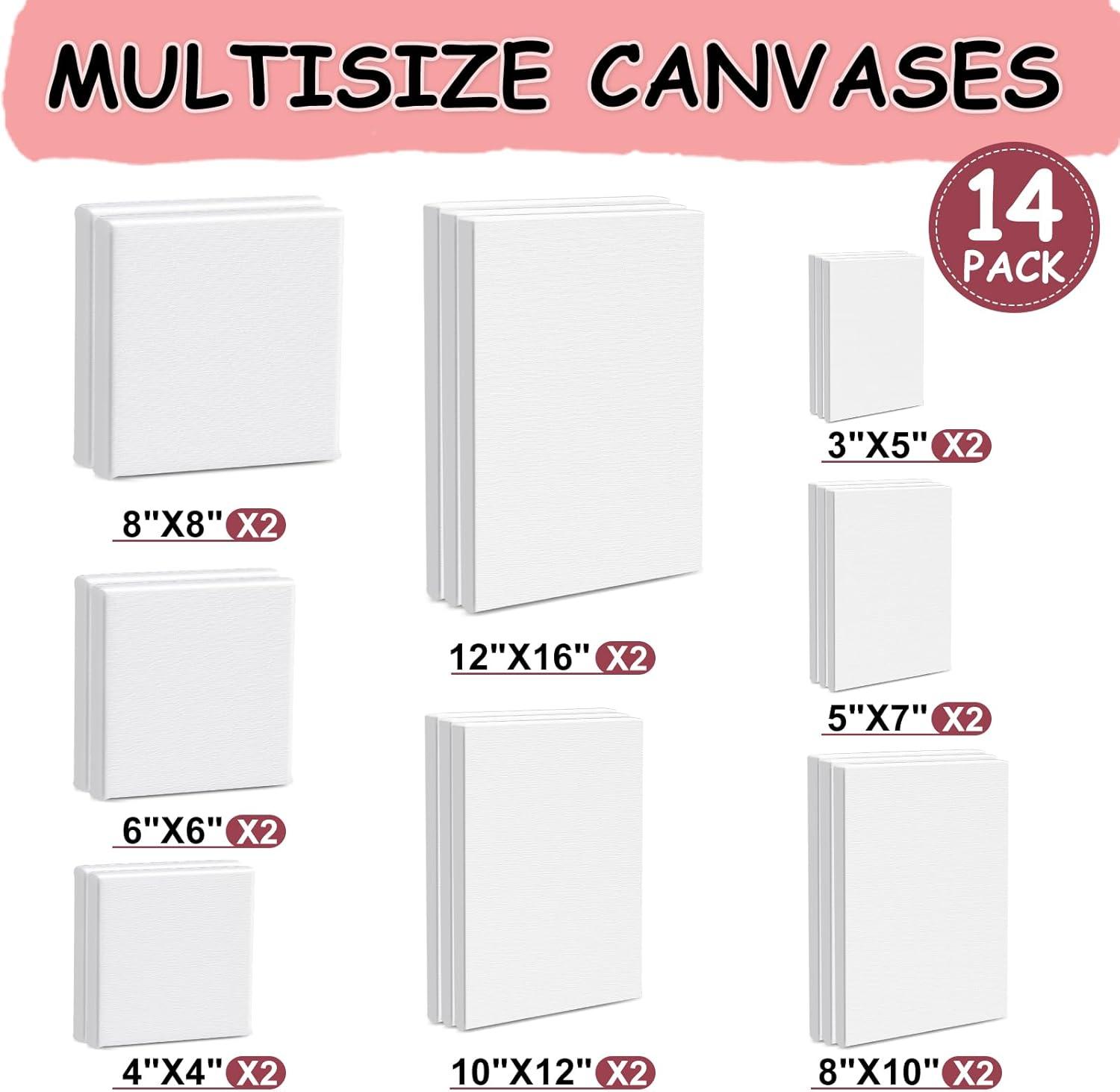 image14 Packs Stretched Canvas for Painting MultiSize 12x16 10x12 8x10 5x7 8x8 6x6 4x4 2 of Each Primed Blank Canvas for Oil Acrylic Paintfor Beginner Artist14Pack Canvas