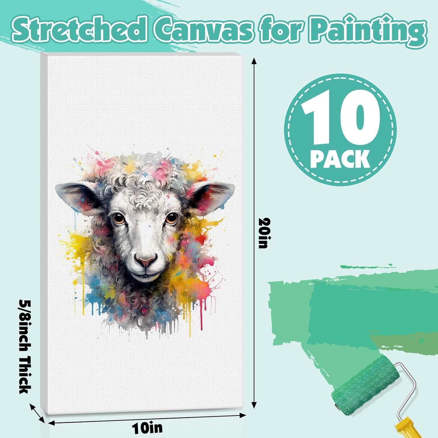 image20 Pack Canvases for Painting with 8x10 Painting Canvas for Oil amp Acrylic Paint10x20in10Pack
