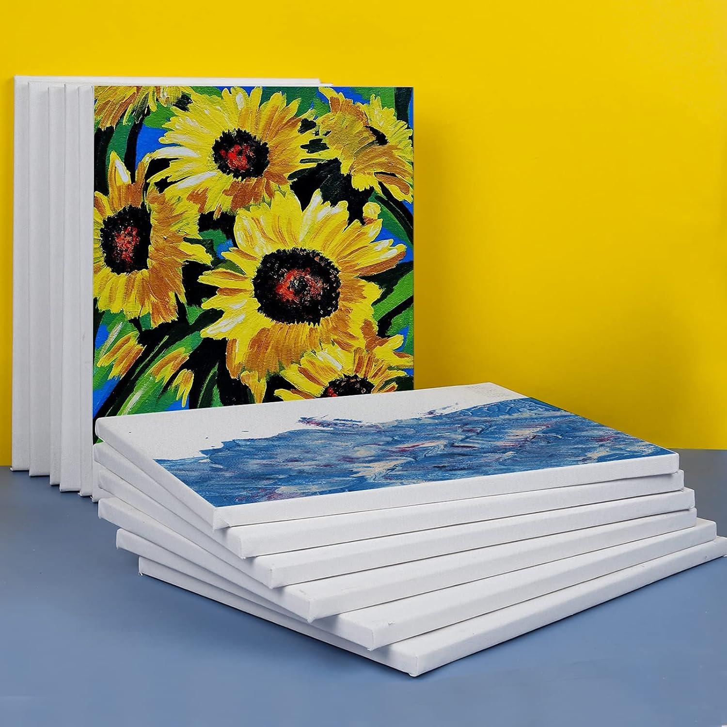 image20 Pack Canvases for Painting with 8x10 Painting Canvas for Oil amp Acrylic Paint11x14in12Pack