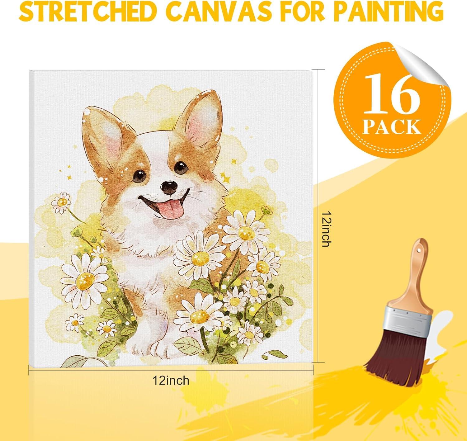 image20 Pack Canvases for Painting with 8x10 Painting Canvas for Oil amp Acrylic Paint12x12in16Pack