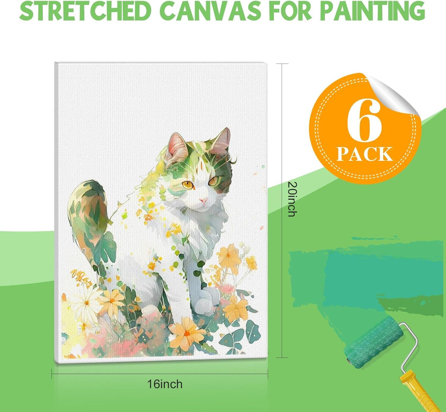 image20 Pack Canvases for Painting with 8x10 Painting Canvas for Oil amp Acrylic Paint16x20in6Pack
