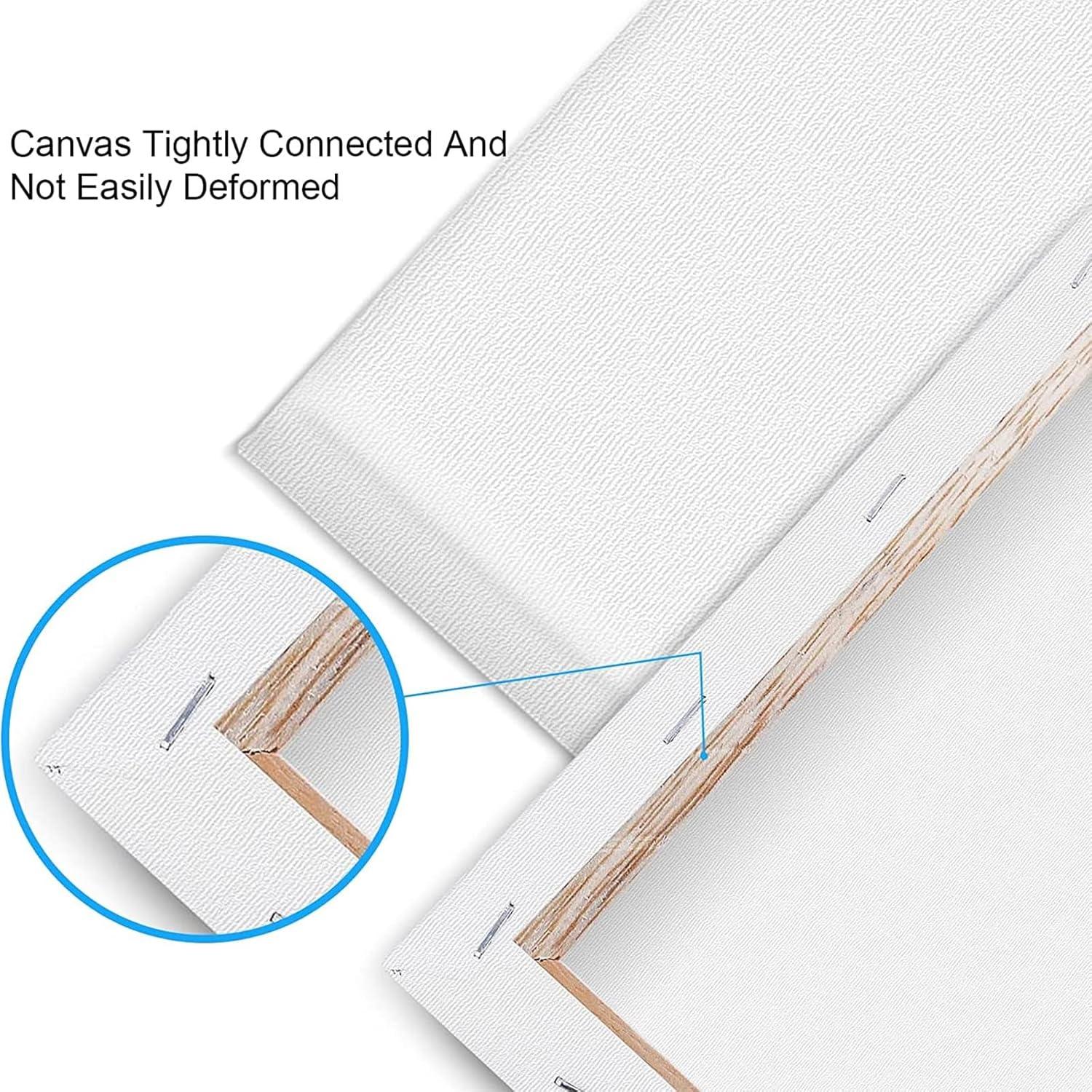 image20 Pack Canvases for Painting with 8x10 Painting Canvas for Oil amp Acrylic Paint24 Packs1Size 1114in