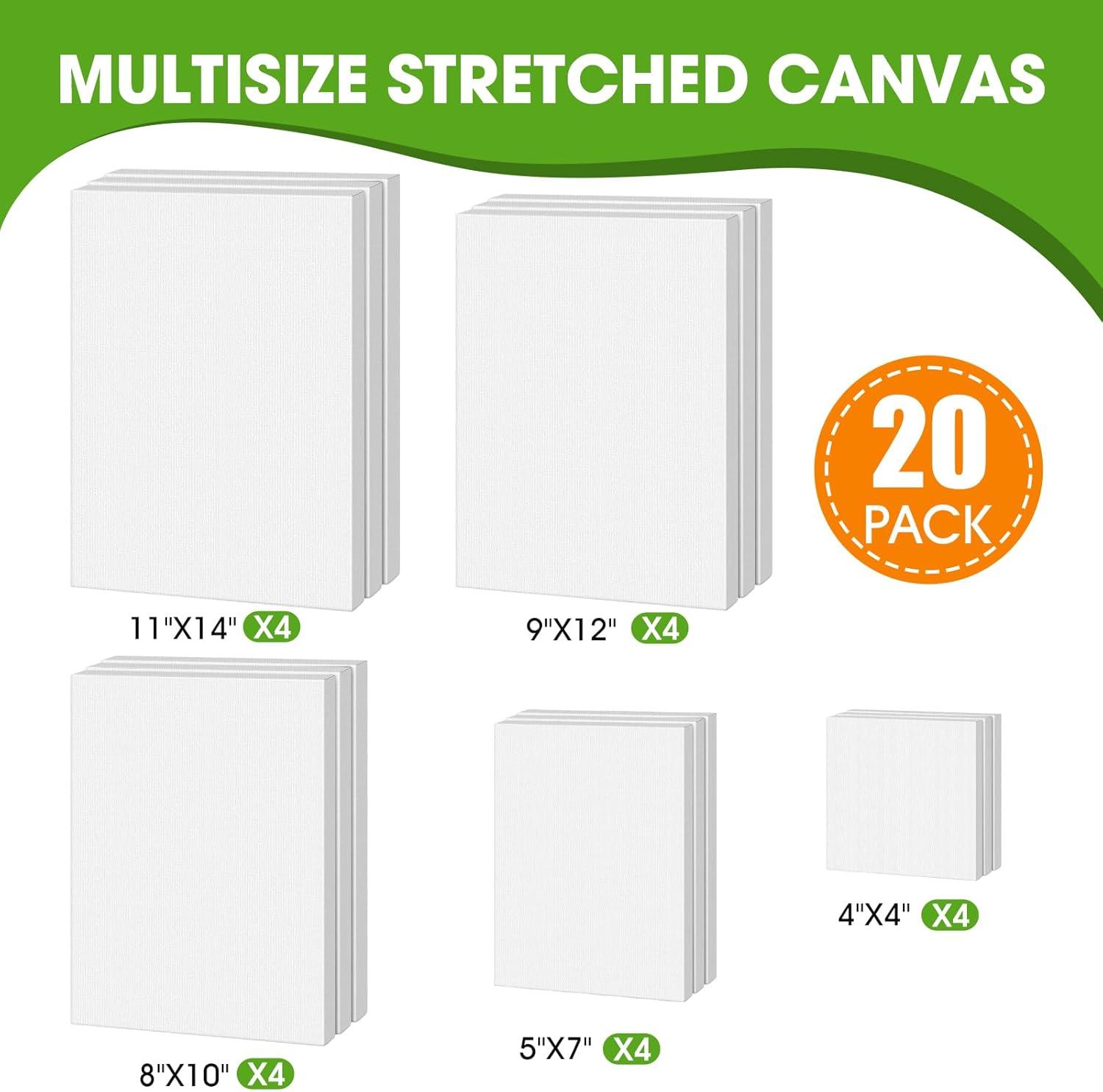 image20 Pack Canvases for Painting with 8x10 Painting Canvas for Oil amp Acrylic PaintMultisize 20 Pack