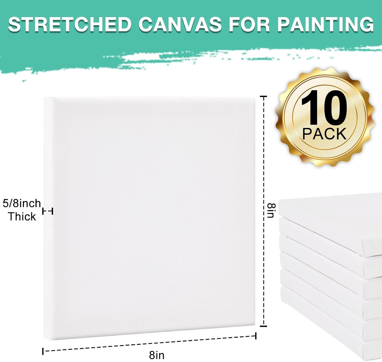 image3 Pack Canvases for Painting with Multi Pack 11x14 5x7 8x10 Painting Canvas for Oil amp Acrylic Paint10 Packs 1Size8x8