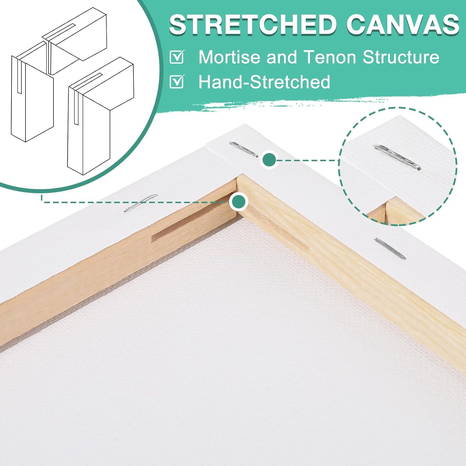 image3 Pack Canvases for Painting with Multi Pack 11x14 5x7 8x10 Painting Canvas for Oil amp Acrylic Paint10 Packs 1Size8x8
