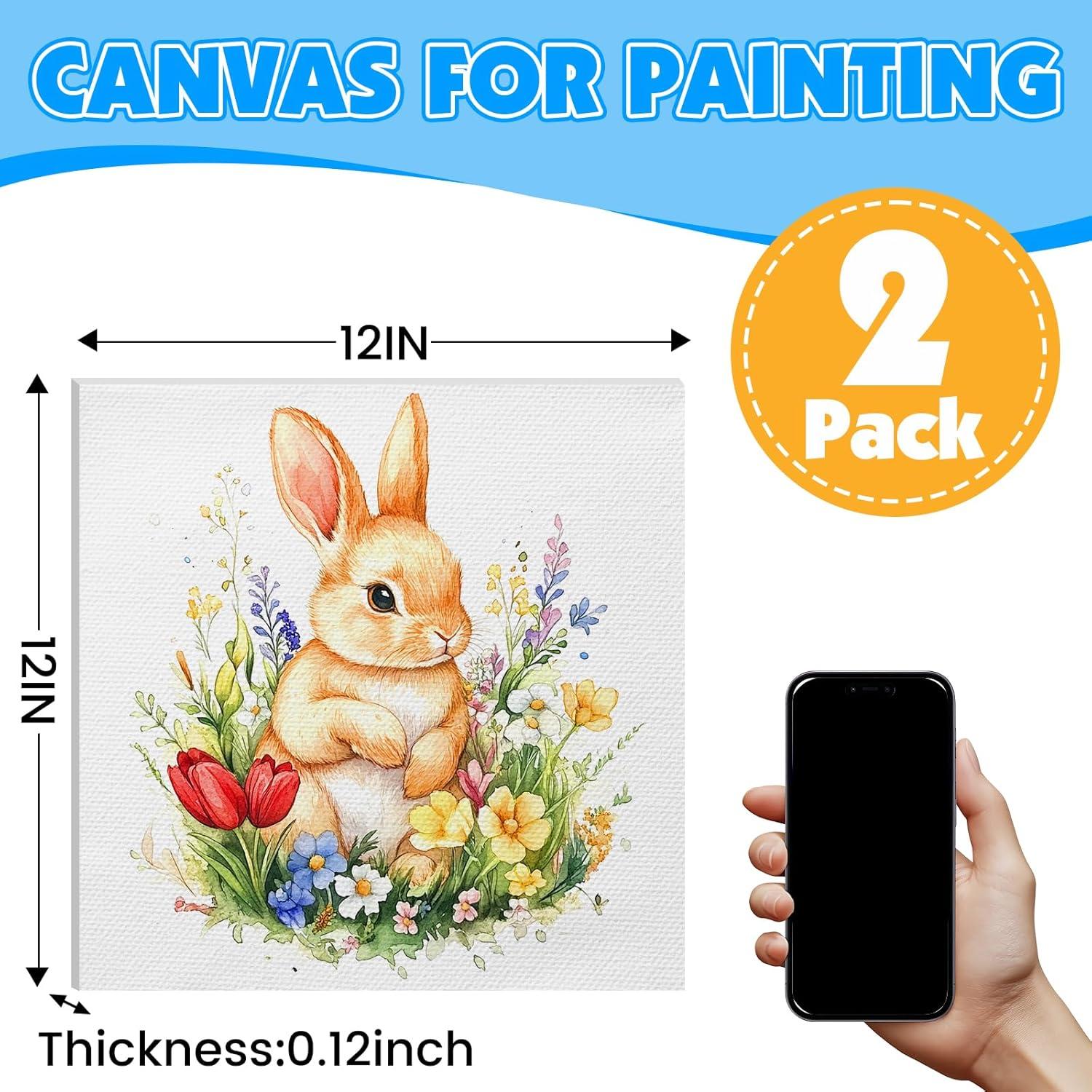 imageESRICH Canvas Boards for Painting 2 Pack Canvas for Painting 11x14 Cotton Primed Acid Free Blank Canvas Panels for Oil Paint Watercolor Acrylic Paint Gouache and Tempera12x12in 2pack
