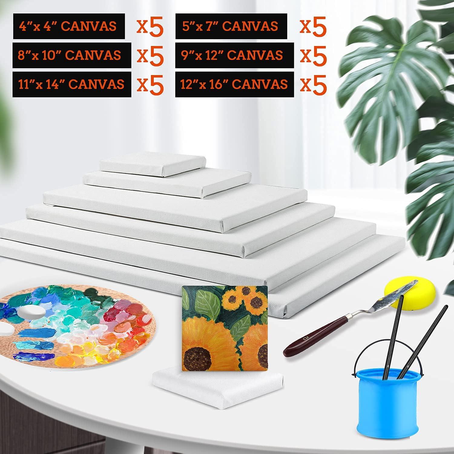 imageESRICH Stretched Canvas for Painting 8 Pack 9x12 Inch Canvas Value PackPrimed AcidFree Cotton Blank Canvases Painting Canvas for Oil amp Acrylic Paint30 Packs 6Sizes5 of Each