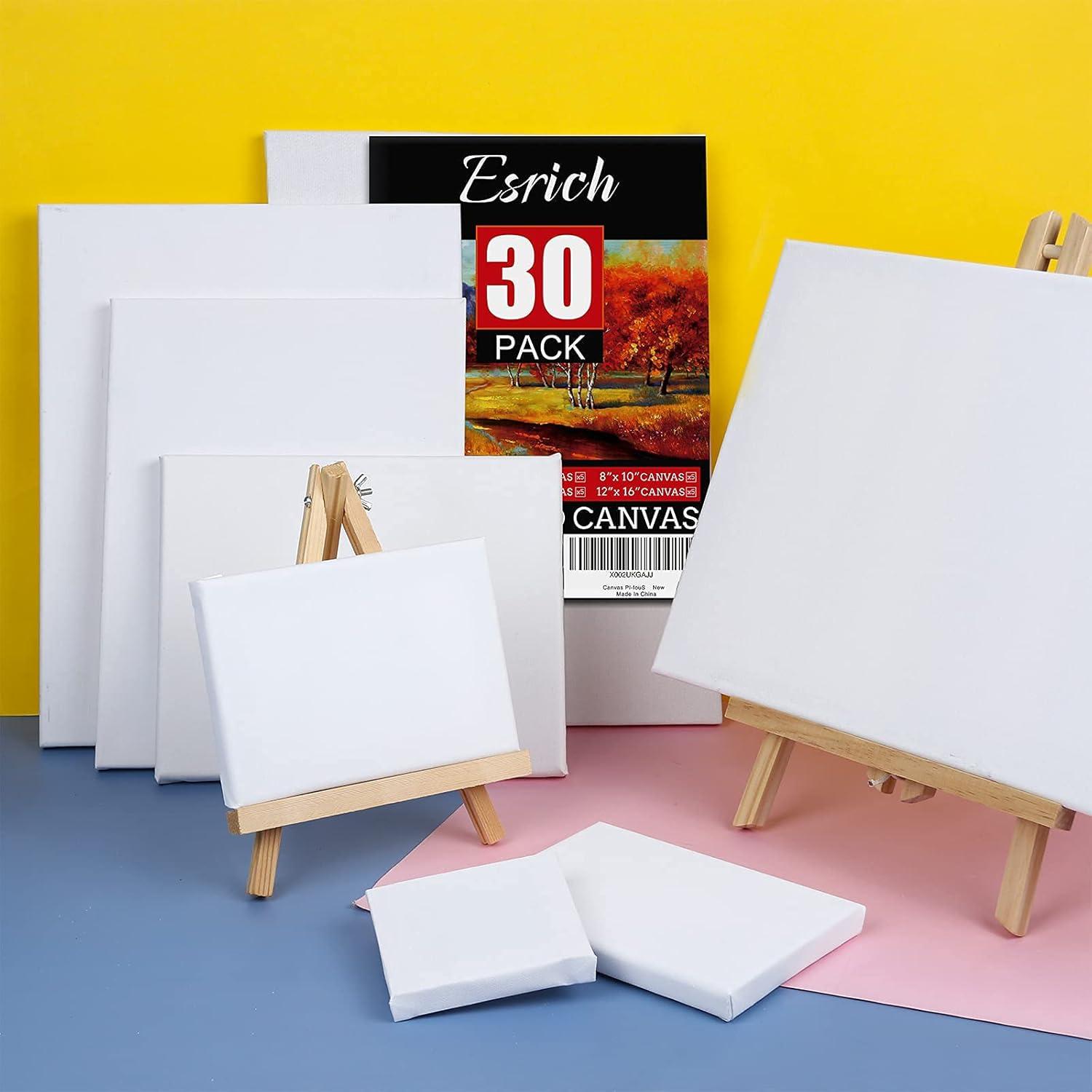 imageESRICH Stretched Canvas for Painting 8 Pack 9x12 Inch Canvas Value PackPrimed AcidFree Cotton Blank Canvases Painting Canvas for Oil amp Acrylic Paint30 Packs 6Sizes5 of Each