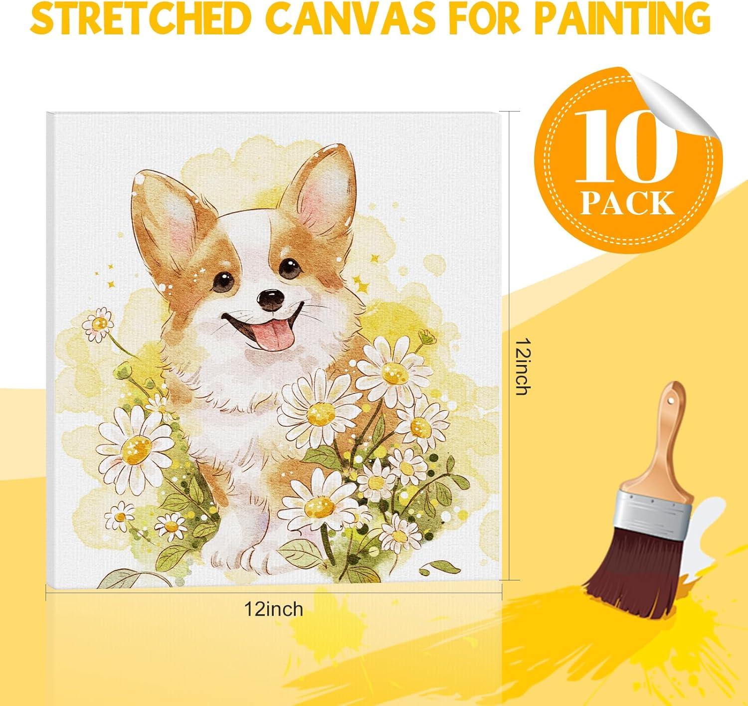 imageESRICH Stretched Canvas for Painting 8 Pack 9x12 Inch Canvas Value PackPrimed AcidFree Cotton Blank Canvases Painting Canvas for Oil amp Acrylic Paint12X12IN 10 Packs