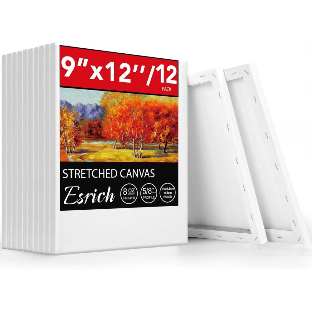 image20 Pack Canvases for Painting with 8x10 Painting Canvas for Oil amp Acrylic Paint9x12in12Pack