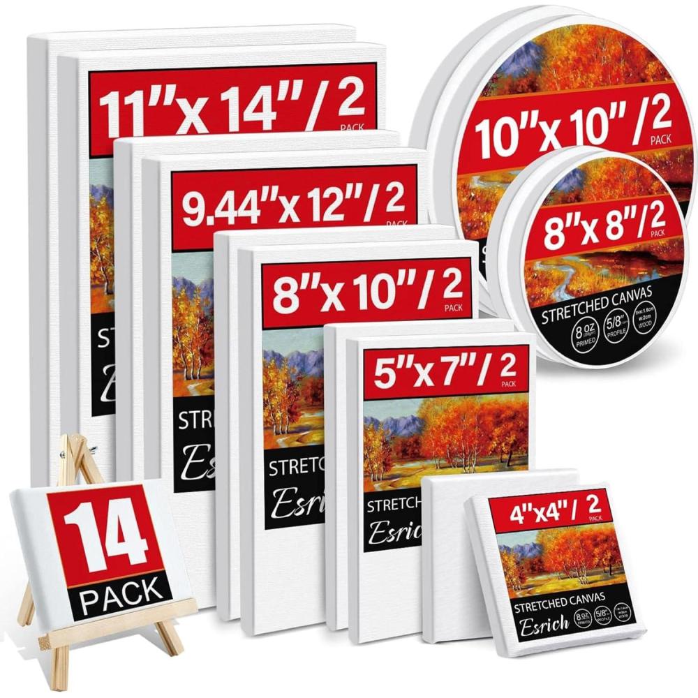 image20 Pack Canvases for Painting with 8x10 Painting Canvas for Oil amp Acrylic PaintMultisize 14 Pack