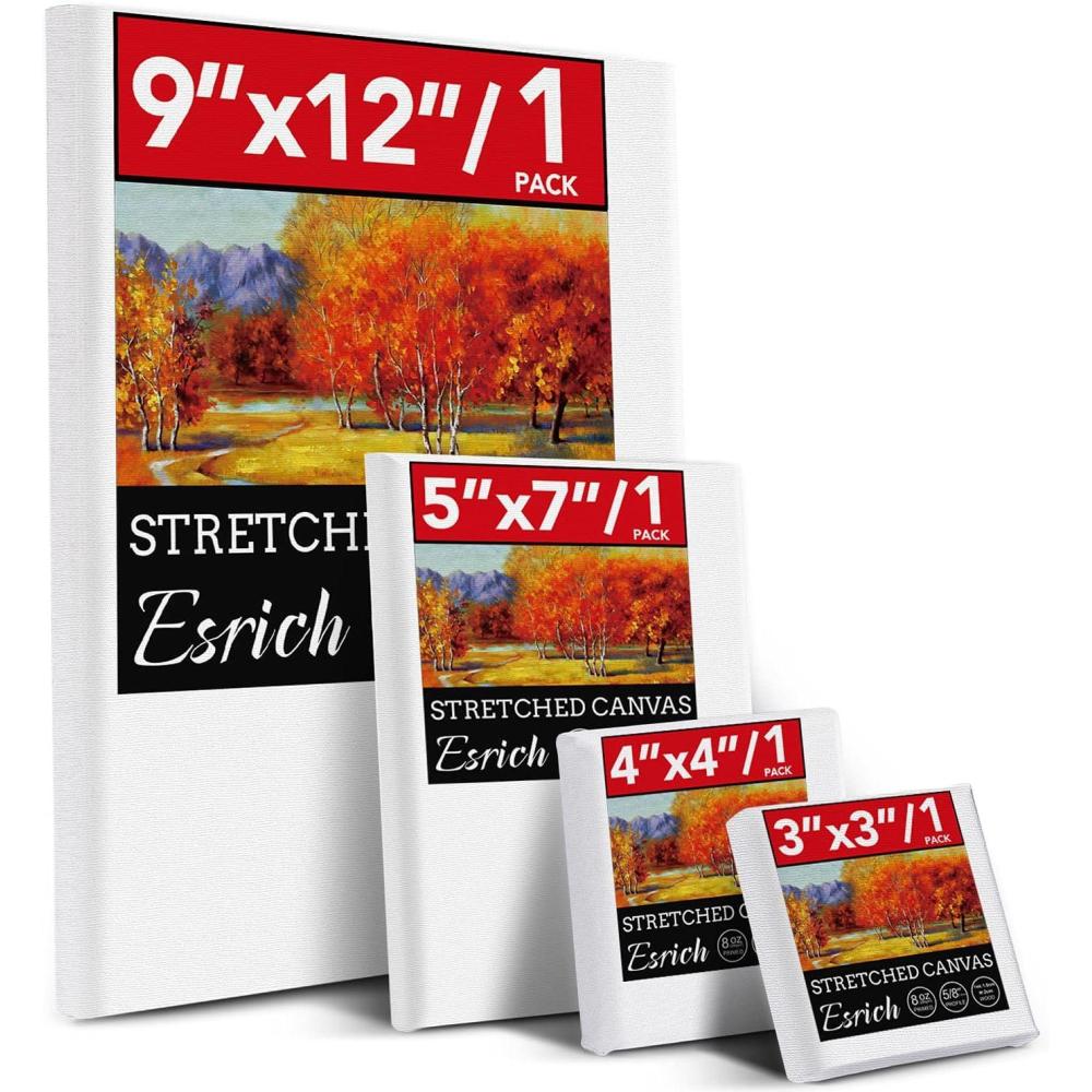 imageESRICH 4 Pack Stretched Canvas for Painting with 9x12 5x7 4x4 3x3 Primed AcidFree Cotton Blank Canvases for Painting Painting Canvas for Oil amp Acrylic Paint4PCS4sizes1 of Each