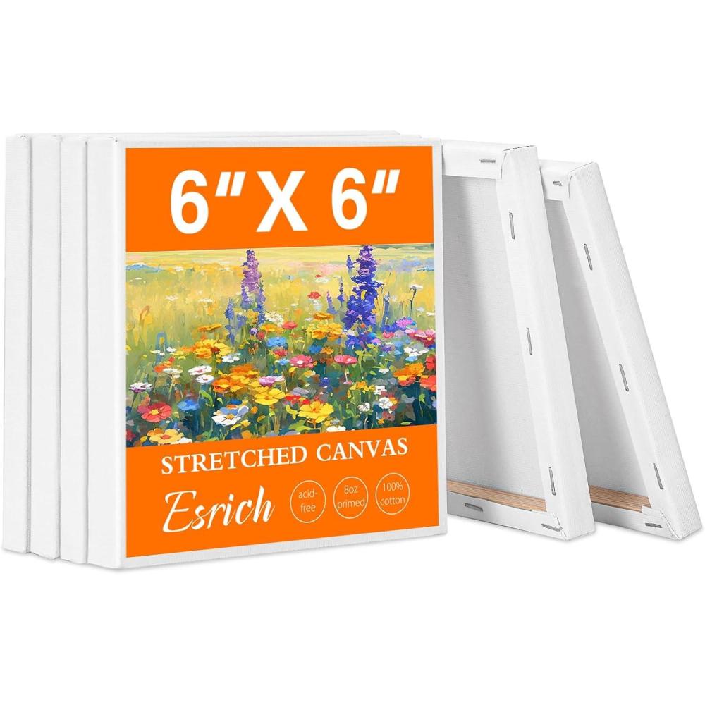 imageESRICH Mini Stretched Canvas 24Pack 2x2inch 25Profile Art Primed Canvases for Painting Cotton Small Professional Stretched Canvas for Kids and Art Supplies6x6in6Pack