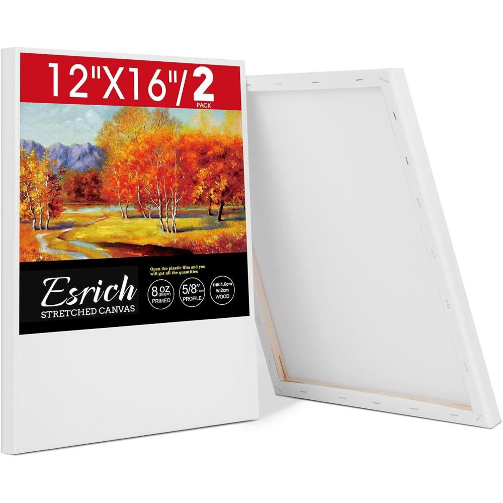 imageESRICH Stretched Canvas for Painting 12 Pack 4x4 4x6 8x10 11x143 of Each Canvas Set MultiSize Blank Canvases for Painting Primed Paint Canvas for Kids Adults Beginners Artists12x16in