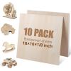 Basswood 10 Packs