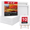 10 Packs - 1Size(8x8)