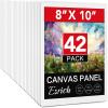 8x10in 42pack