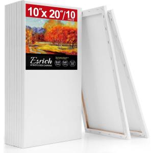 20 Pack Canvases for Painting with 8×10, Painting Canvas for Oil & Acrylic Paint.(10x20in-10Pack)