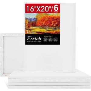 20 Pack Canvases for Painting with 8×10, Painting Canvas for Oil & Acrylic Paint.(16x20in-6Pack)