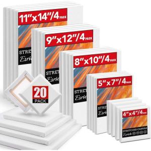 20 Pack Canvases for Painting with 8×10, Painting Canvas for Oil & Acrylic Paint.(Multisize 20 Pack)