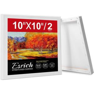 ESRICH Stretched Canvas for Painting, 12 Pack 4×4, 4×6, 8×10, 11×14(3 of Each) Canvas Set, Multi-Size Blank Canvases for Painting, Primed Paint Canvas for Kids, Adults, Beginners, Artists.(10x10in)