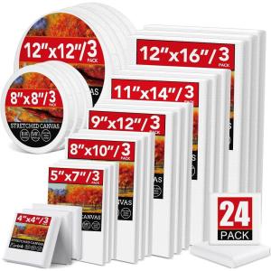 ESRICH Stretched Canvas for Painting, 8 Pack 9×12 Inch Canvas Value Pack,Primed Acid-Free Cotton Blank Canvases, Painting Canvas for Oil & Acrylic Paint.(24 Packs – 8 Sizes (3 of Each))
